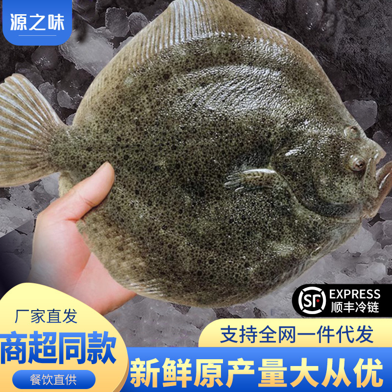 Tobaoyu fresh fresh quick frozen extra large opium flounder flounder flounder partial mouth fish babaoyu commercial in Ankang