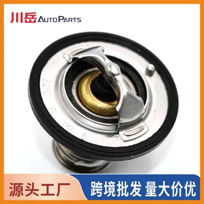 Thermostat for Toyota engine