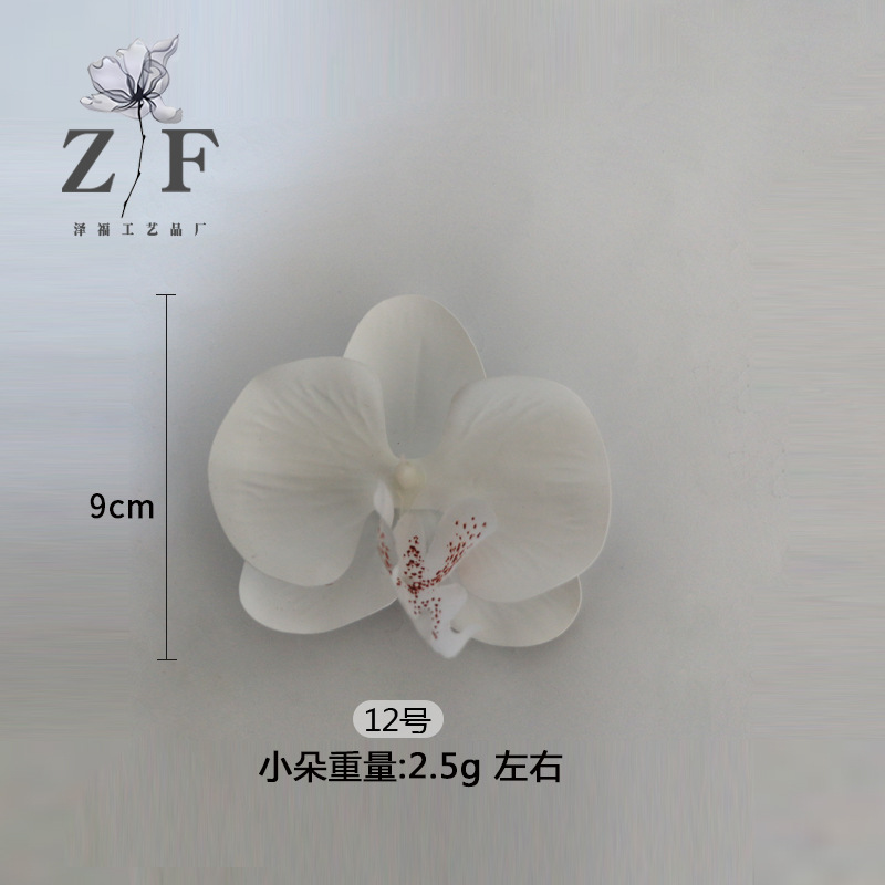 12호(소)