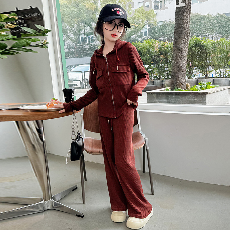 (2개) 소녀 세트 가을 2024 새로운 세련된 후드 재킷 두 조각 세트 중 큰 어린이 가을 유행 넓은 다리 바지