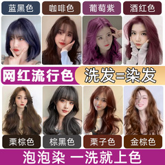 Plants Shine Bubble Hair Dye Cream 2023 Trending Color Natural Plant One-Wash Color Self-Dye Hair Wholesale 