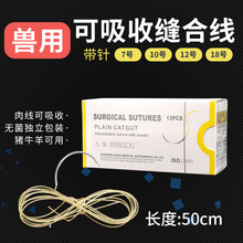 兽用可吸收缝合线50cm免拆羊肠线埋线猪牛羊宠物可吸收性肉线
