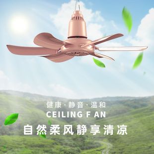 ���ȌW�����������L�ȴ��ϼ����L�������Î�������L���o��С��