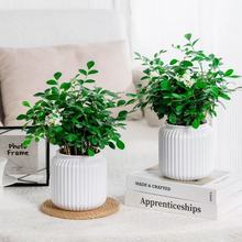 �¿�����ˮ͸�����˻���ˮ����֬����lؔ������k�������b���