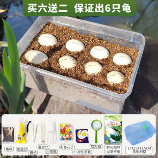 �ɷ���������DIY���b�����������ܾ����bħ�л�����һ��ͯ���Y��