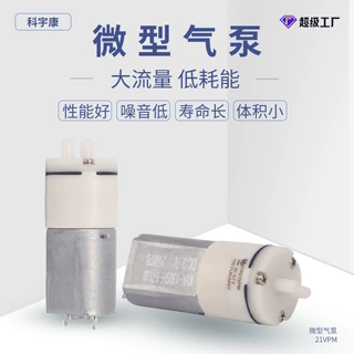 21VPM隔膜美容仪器微型泵颈部按摩仪气泵吸黑头真空泵