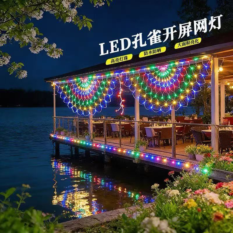 [Factory direct supply] LED light string peacock light Net Light fishing net Light Christmas light decorative color light flashing light string light