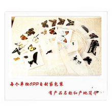 ���w��������x�˱�������ͯ�׃��@���ս̾���չ��zӰ�����OӋ1