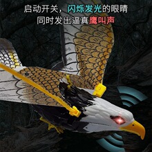 늄������W�^�w�B��ߵ��K�w�����B�s�B��ߏV�����@�ؔ�������l