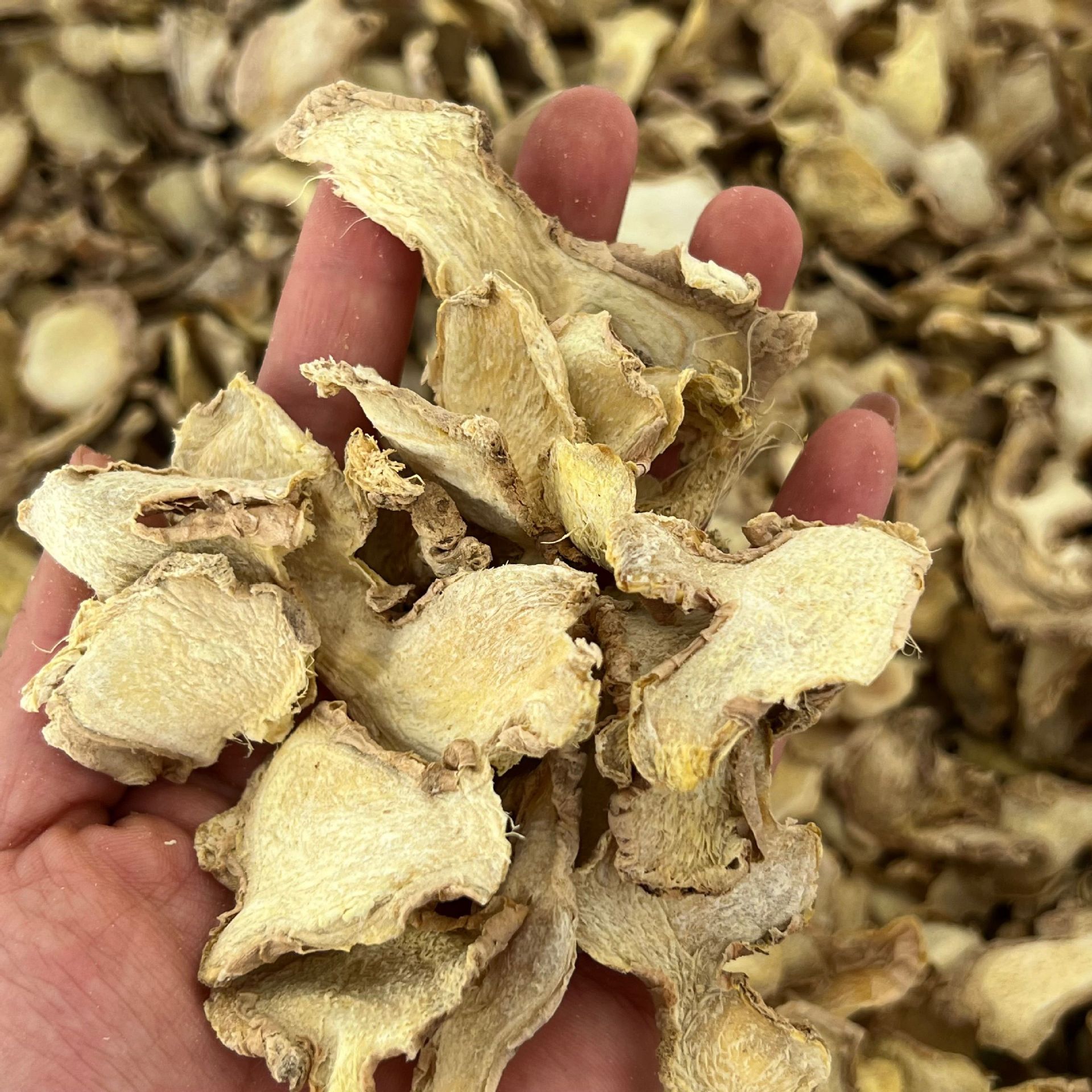 말린 생강 조각 500g (우송료)