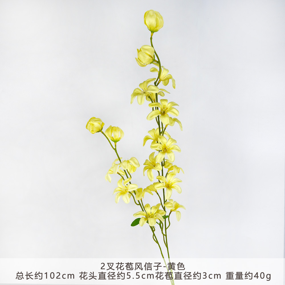 YN-2叉花苞风信子-黄色