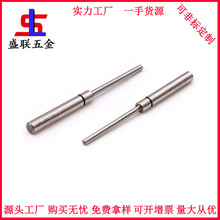 ƲP304BSߏ΢R_S㊱SDSλSLS