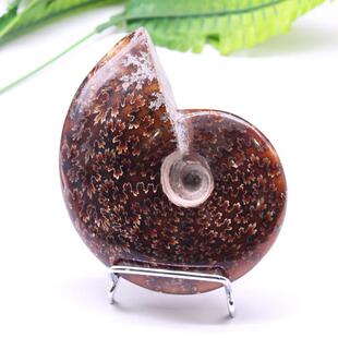 ��Ȼˮ��ԭʯ�񻯺��ݵVʯ��ʯ��˱������ﻯʯ��ʯ