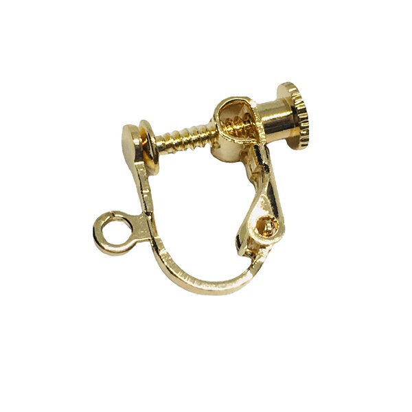 ear clips with accessories