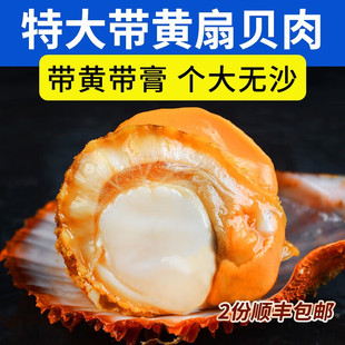 �O����~�r����ؐ�� 60-80ֻ/�� ���r�������ؐ���rؐ����� ��