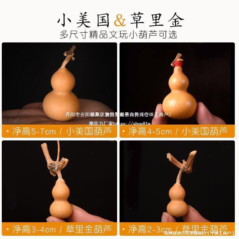 天然特小葫芦文玩手捻草里金包浆带龙头美国紫皮老葫芦手把件手工
