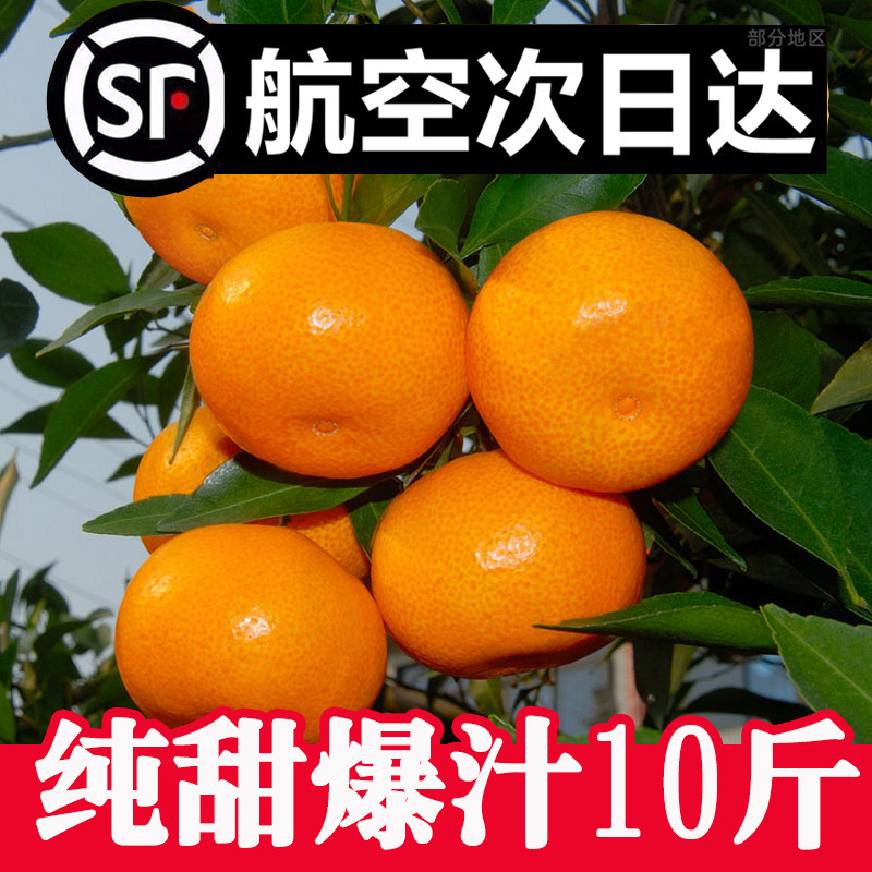 大棚涌泉蜜桔正宗临海桔子甜10斤整箱新鲜水果台州橘子官方旗舰店