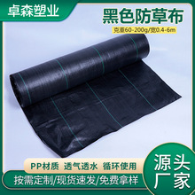 现货批发农用黑色塑料盖草布防老化农用园艺除草布透水透气抑草布