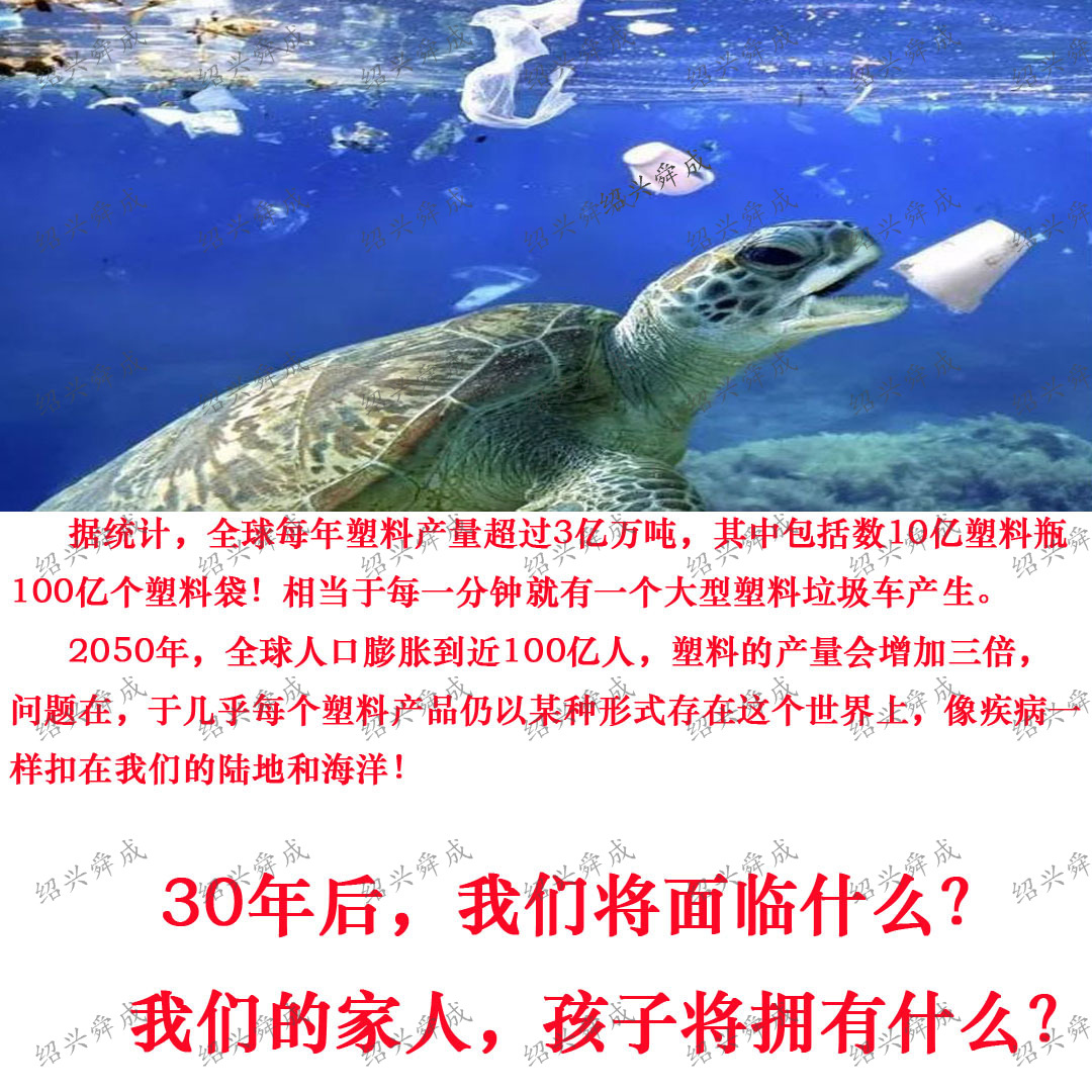 O1CN01FCPVAG1j9KvPllmVX_!!2207