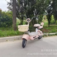 Популярные электромобили в Африке и Юго-Восточной Азии, аккумуляторные автомобили для внешней торговли, производители симпатичных двухколесных транспортных средств, мотоциклы, велосипеды, автомобили 25