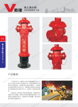 �V�|�ٽ��҃�����˨SS100/65-1.6*SS150/80-1.6