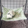 Green rabbit
