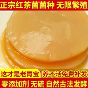 �t������N��θ���׶��ӿ��ղ�l�;����؋�������ԭ�N��Ȼ�Bθ