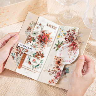 ��׽��һƬСѩ��ϵ�����õ�һ��PET�z��6cmѩ�����}DIYƴ�N 6��