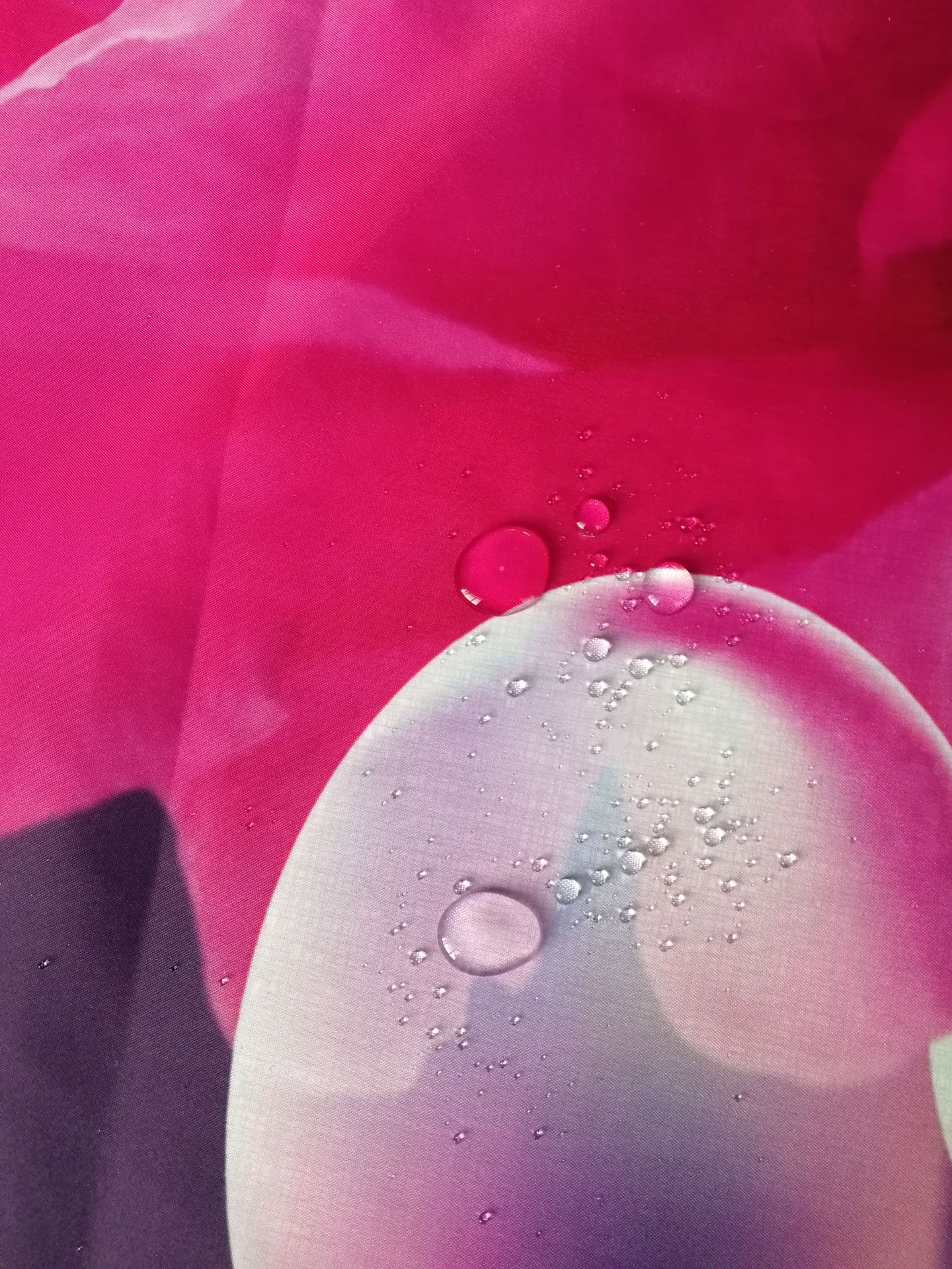 QQ图片20210113234037