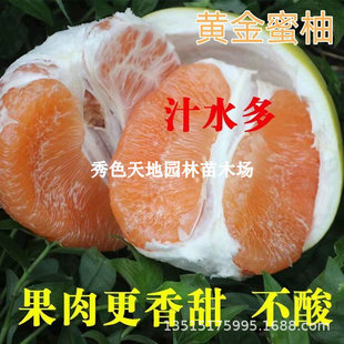 �����S�����֘���޽��������S�����Ә䮔��Y���ϱ����Nֲ������