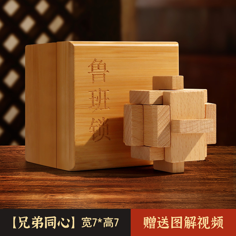 Luban Lock Kongming Lock Juego completo de bloques de construcción de espiga y espiga Juguetes educativos para niños de 8-12 años de edad, quema de cerebro intelectual 10
