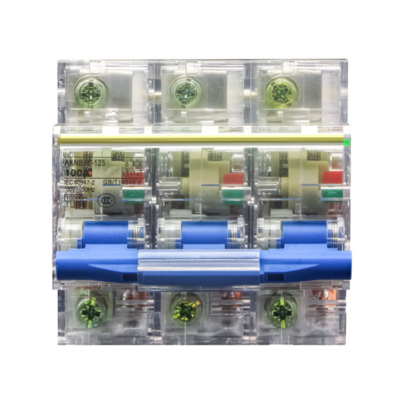 DZ47 plastic case transparent circuit breaker 1/2/3/4P leakage protection switch DZ47 transparent air switch