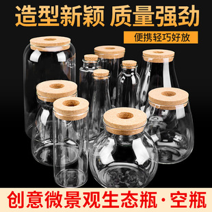 Ecological Bottle DIY Fish Micro Landscape Ecological Ball Gaopeng Silicone Creative Design Vase Glass Fish Tank Desk Hot Sale