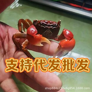 ����з����з����з�[�������^�pзС�з���w�����������l�з