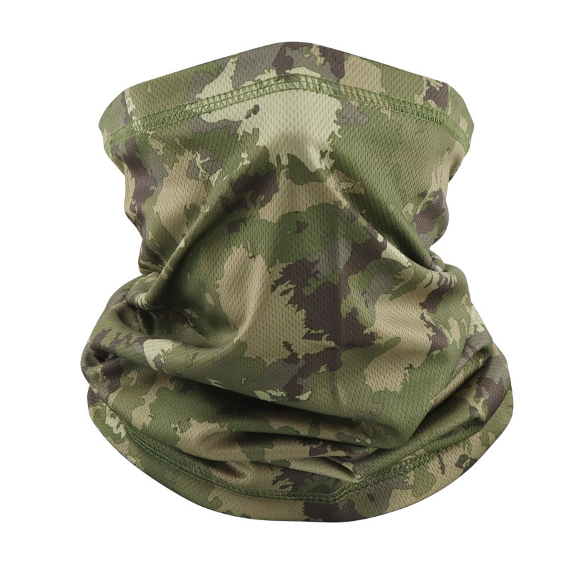 Mancha de color de la selva (Bird Eye Baird)