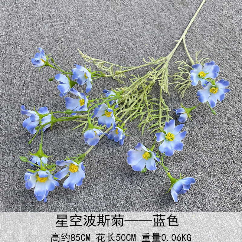 Cosmos azul estrellado