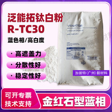 ��˹�~⁰׷�R-TC30��Ɲ��������RTC30ɫĸ���Ͻ�tʯ⁰׷��{��