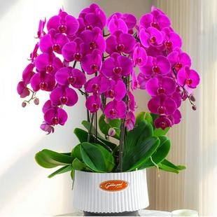 �����m���Ի���ֲ���҃Ȼ�ˮ���k���ҾGֲ�����ļ����B���玧����