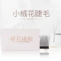 嫁接柔软v型交叉根