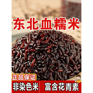 �|��ѪŴ�׺�Ŵ����Ŵ��ճ�����F�̲������s�Z�M��