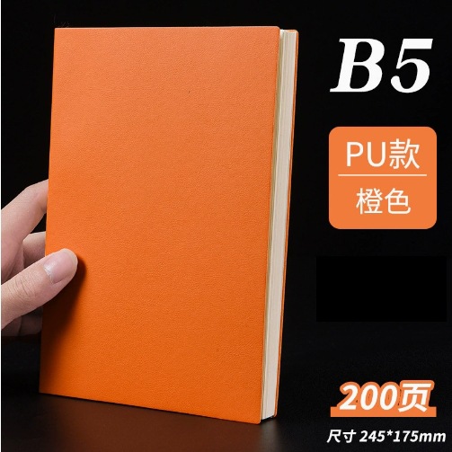B5 오렌지(사진 100장, 200페이지)