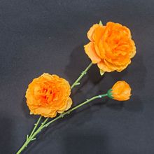 3�^��ĵ����c���滨��·���廨�������bٻ��⾰�[�O���컨