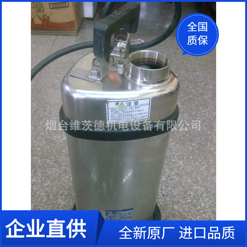 EBARA P727不锈钢潜水泵