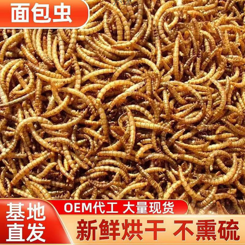 Bread Insect Dried Yellow Mealworm Dried Hamster Food Turtle Food Fish Food Magpie Bird Food Rutin Chicken Feed Pet Snacks Factory