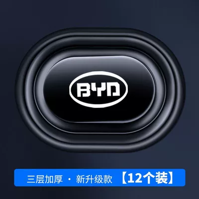 E2 Destroyer 05 Dolphin: Other Automotive Exterior Supplies - byd-standard-full-car-12-pack-new-extended-version-complete-vehicle