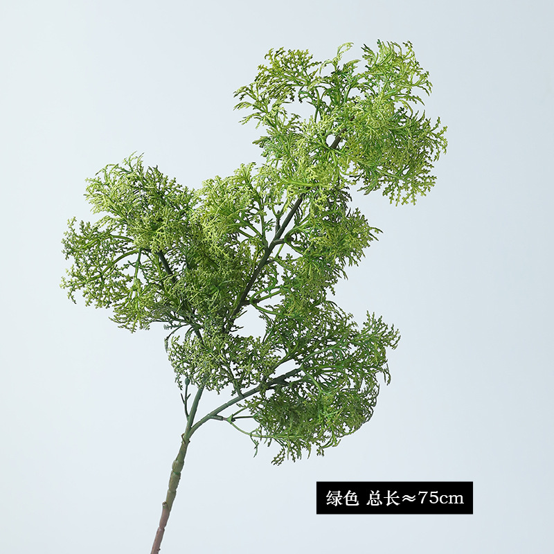 녹색