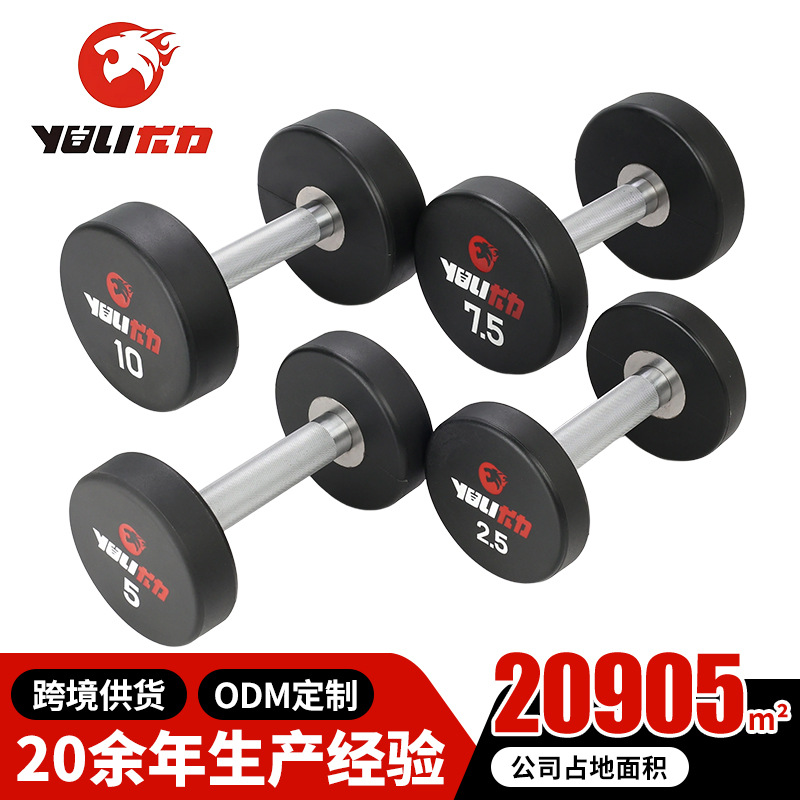 Round Head Cpu Dumbbell (Small L) Fixed Dumbbell Strength Training Men's Fitness Weightlifting Round Head Dumbbell Wholesale