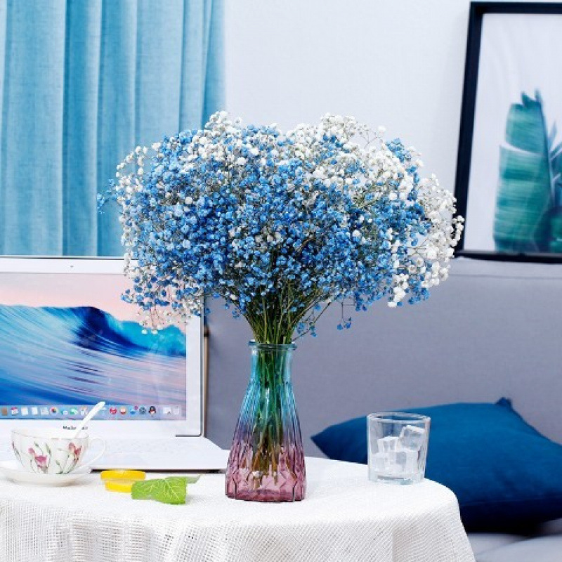 사파이어 블루 + 화이트 아기의 숨결 - 꽃병 없음