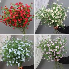 Ī����@�L�L�������滨  СҰ��  ��Y��c���� �Ҿ��b��滨