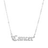 Universal zodiac signs stainless steel, fashionable necklace, European style, simple and elegant design